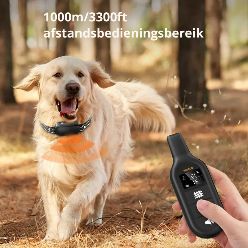 ProTrain – Uppladdningsbart vattentåligt hundträningshalsband