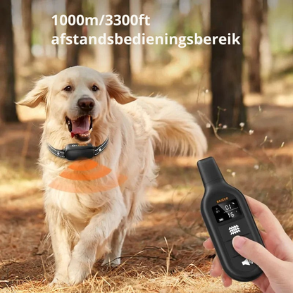 ProTrain – Uppladdningsbart vattentåligt hundträningshalsband