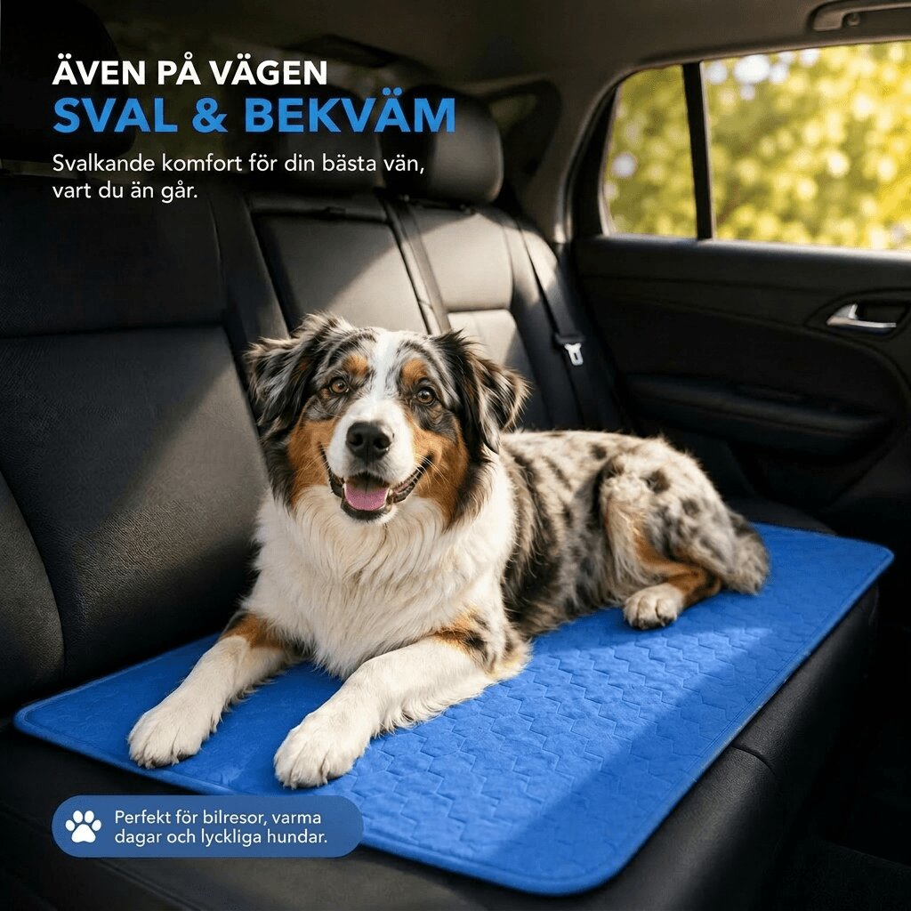 Svalkande kylmatta för hund | Svalpaws