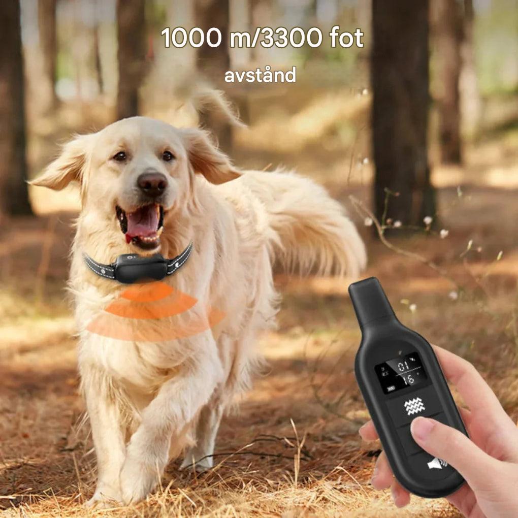 Elektrisk hundträningshalsband med fjärrkontroll