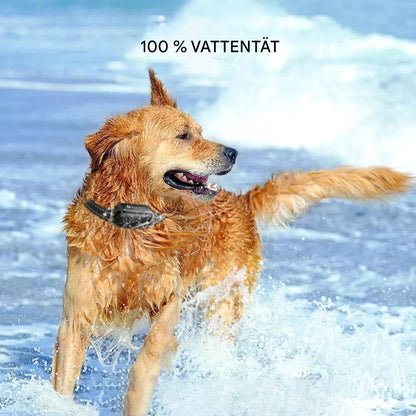 Elektrisk hundträningshalsband med fjärrkontroll